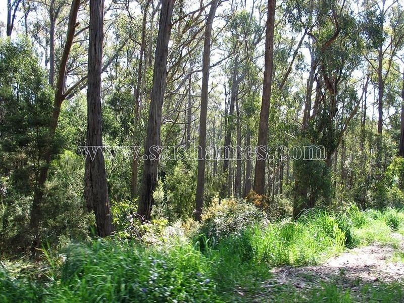 120-190 Sunnyside Road, Railton TAS 7305