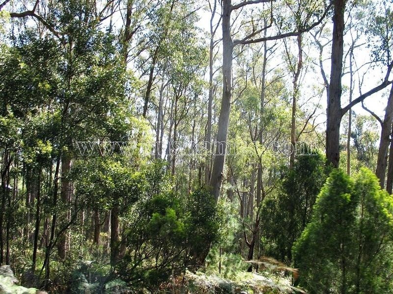 120-190 Sunnyside Road, Railton TAS 7305