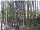 120-190 Sunnyside Road, Railton TAS 7305