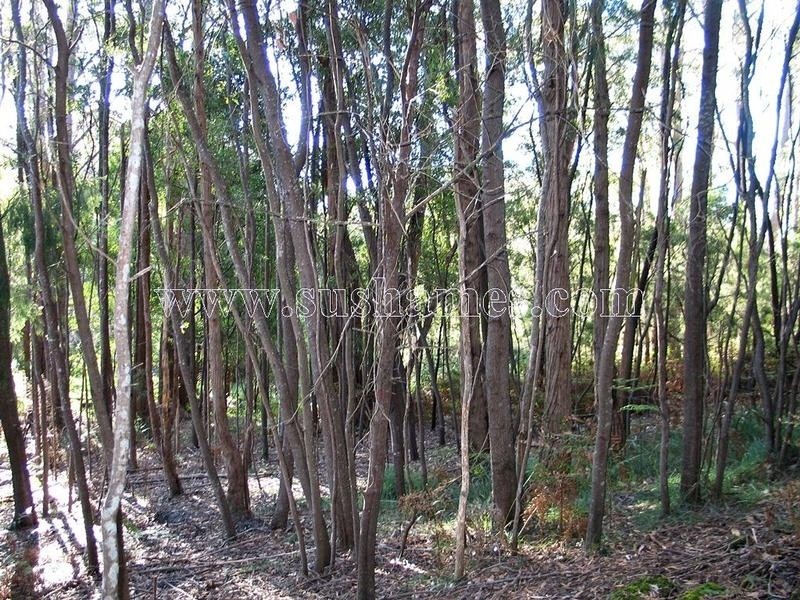 120-190 Sunnyside Road, Railton TAS 7305