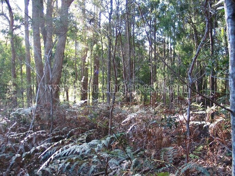 120-190 Sunnyside Road, Railton TAS 7305