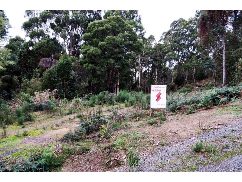 197 Grandview Drive, South Spreyton TAS 7310
