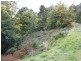 197 Grandview Drive, South Spreyton TAS 7310