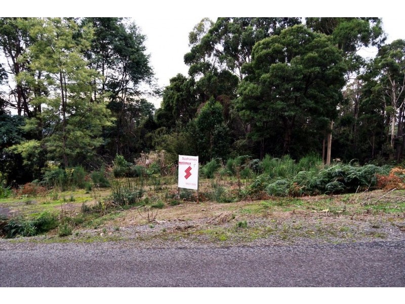 197 Grandview Drive, South Spreyton TAS 7310