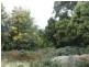 197 Grandview Drive, South Spreyton TAS 7310
