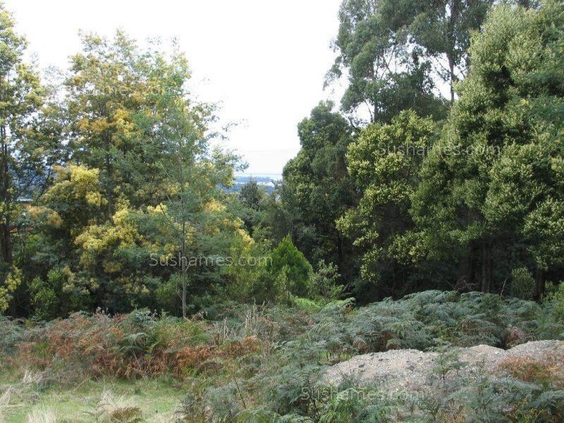 197 Grandview Drive, South Spreyton TAS 7310