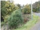 197 Grandview Drive, South Spreyton TAS 7310