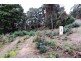 197 Grandview Drive, South Spreyton TAS 7310
