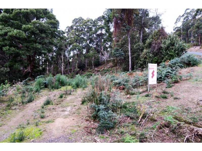 197 Grandview Drive, South Spreyton TAS 7310