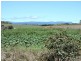 Lot 8 Maloneys Road, Sunnyside TAS 7305