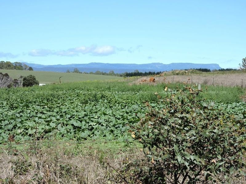 Lot 8 Maloneys Road, Sunnyside TAS 7305