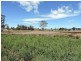 Lot 8 Maloneys Road, Sunnyside TAS 7305