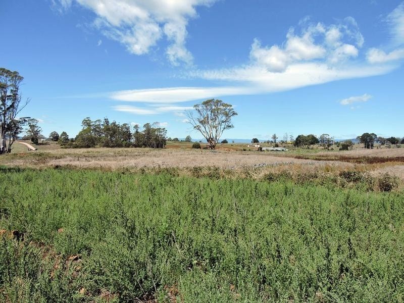 Lot 8 Maloneys Road, Sunnyside TAS 7305