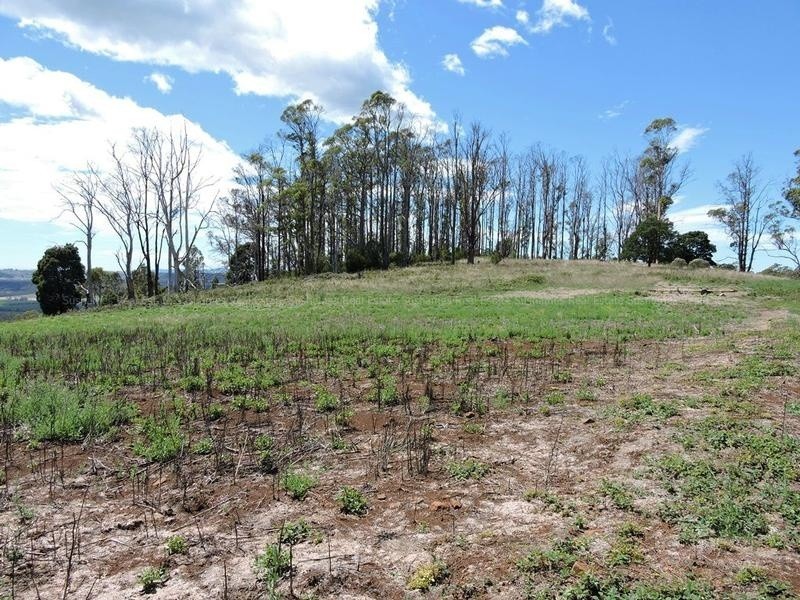 Lot 8 Maloneys Road, Sunnyside TAS 7305