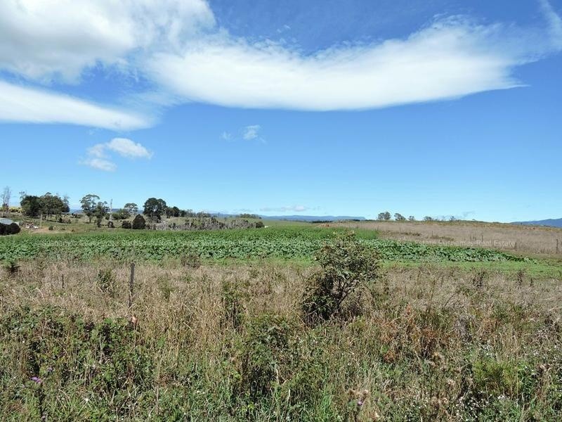 Lot 8 Maloneys Road, Sunnyside TAS 7305