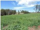 Lot 8 Maloneys Road, Sunnyside TAS 7305
