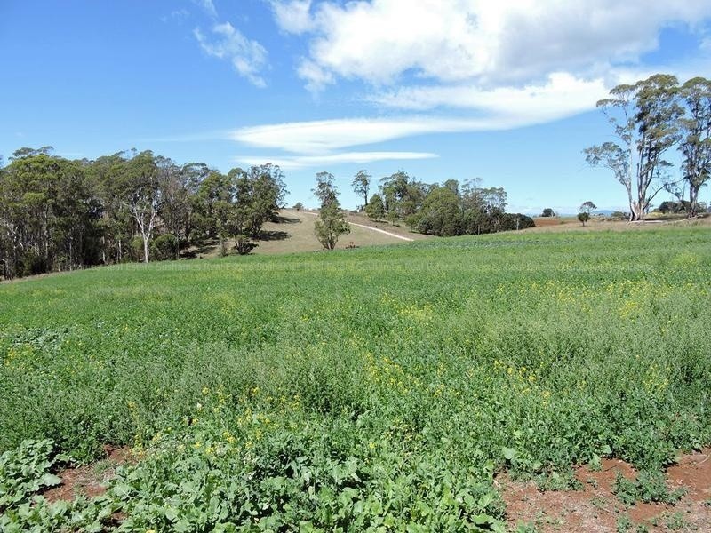 Lot 8 Maloneys Road, Sunnyside TAS 7305