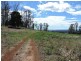 Lot 8 Maloneys Road, Sunnyside TAS 7305