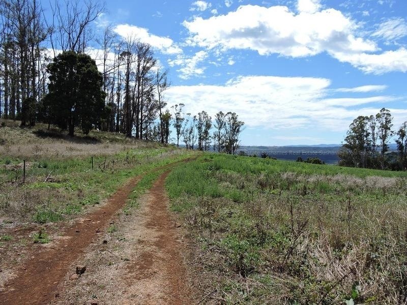 Lot 8 Maloneys Road, Sunnyside TAS 7305