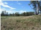 Lot 8 Maloneys Road, Sunnyside TAS 7305