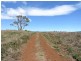 Lot 8 Maloneys Road, Sunnyside TAS 7305