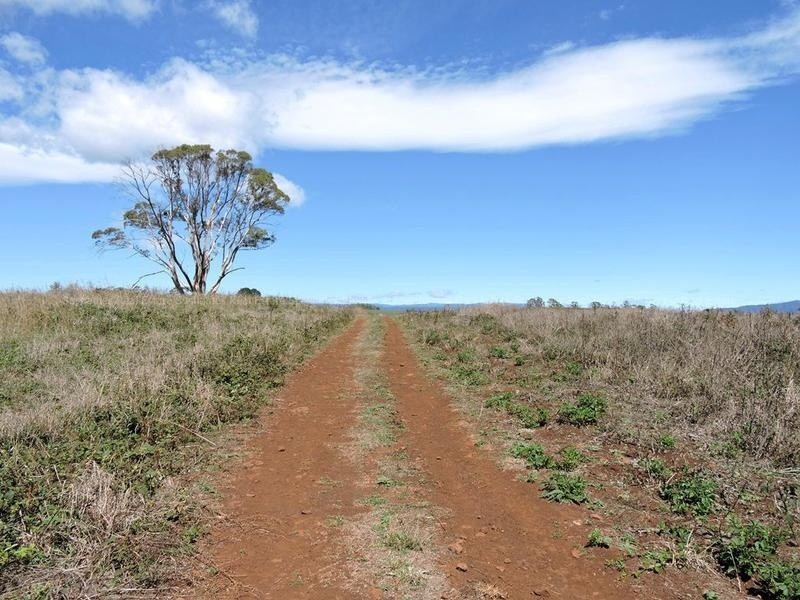 Lot 8 Maloneys Road, Sunnyside TAS 7305