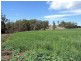 Lot 8 Maloneys Road, Sunnyside TAS 7305