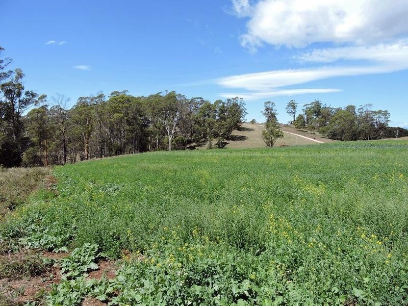 Lot 8 Maloneys Road, Sunnyside TAS 7305