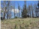 Lot 8 Maloneys Road, Sunnyside TAS 7305