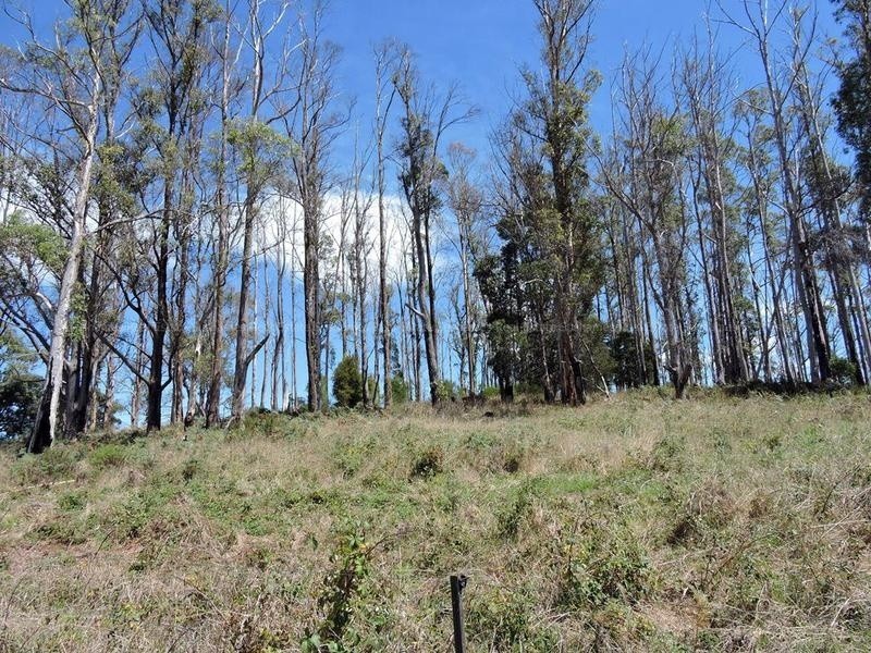 Lot 8 Maloneys Road, Sunnyside TAS 7305