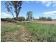 Lot 8 Maloneys Road, Sunnyside TAS 7305