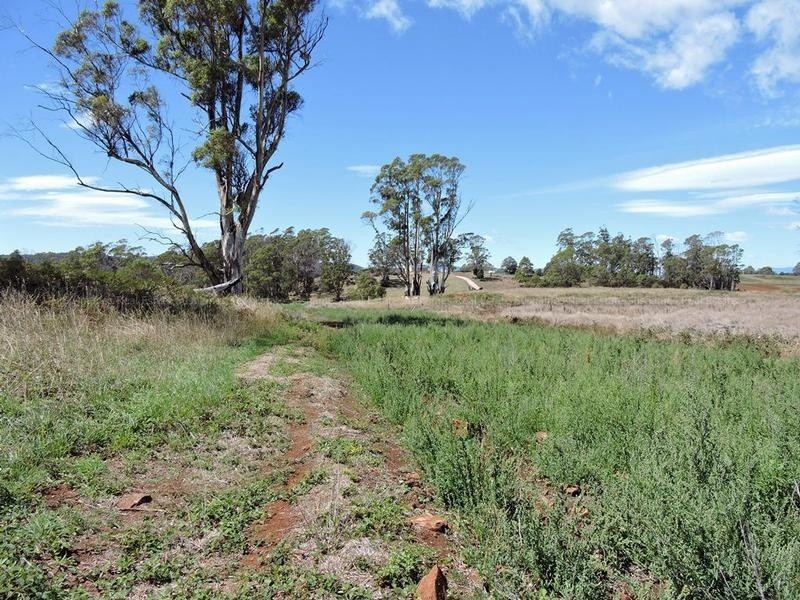 Lot 8 Maloneys Road, Sunnyside TAS 7305