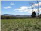 Lot 8 Maloneys Road, Sunnyside TAS 7305