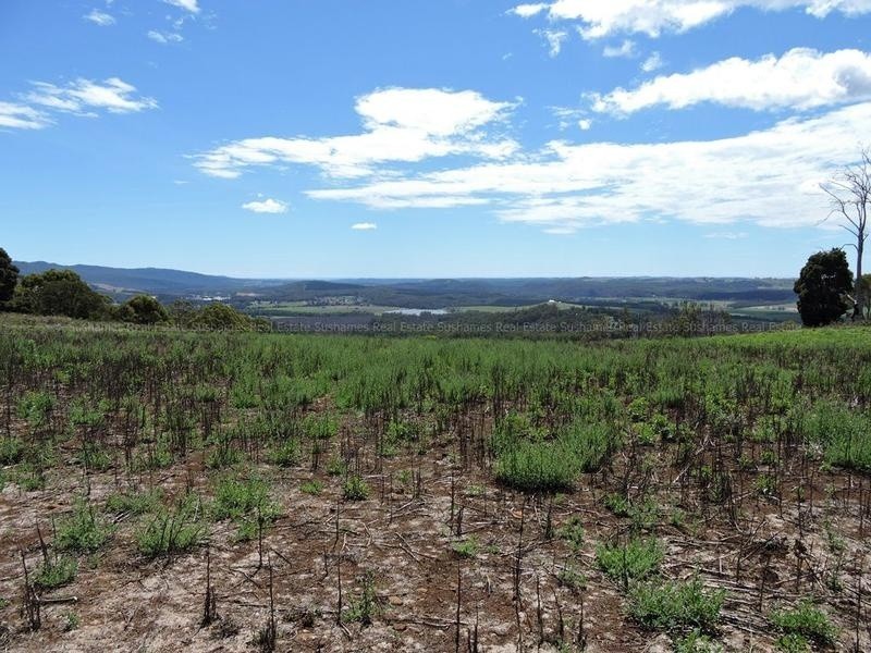 Lot 8 Maloneys Road, Sunnyside TAS 7305