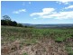 Lot 8 Maloneys Road, Sunnyside TAS 7305