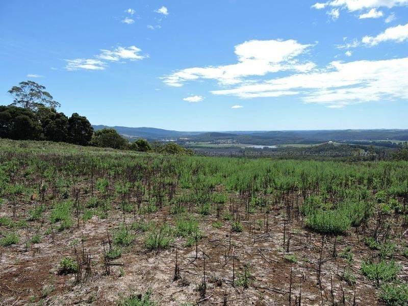 Lot 8 Maloneys Road, Sunnyside TAS 7305