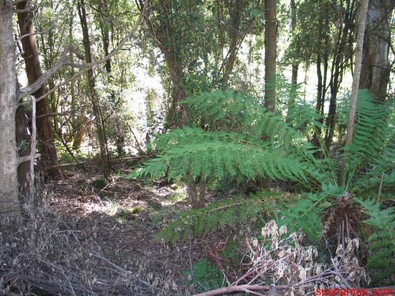 750 Staverton Road, Staverton TAS 7306