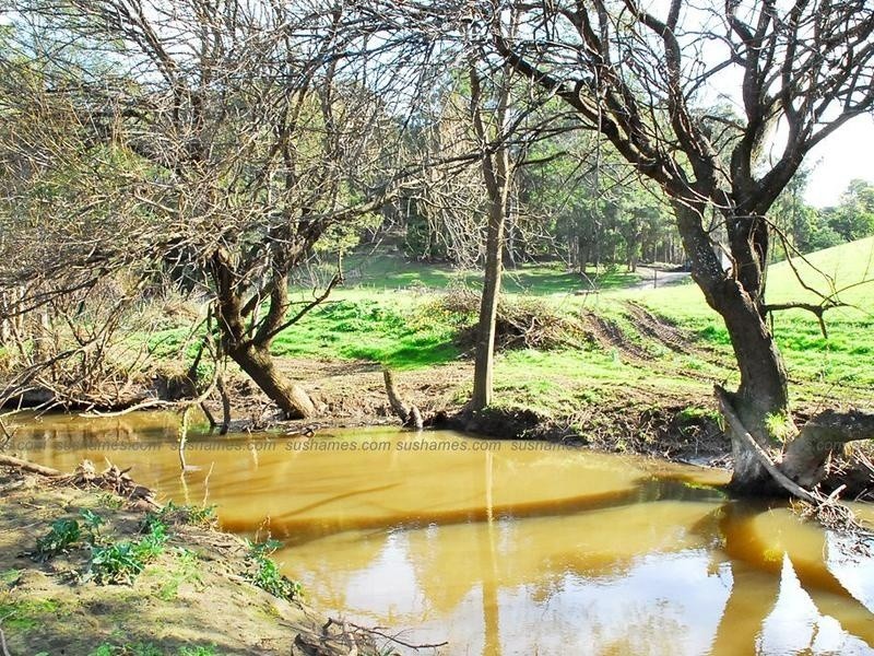 Lot 12 Collins Way, Tugrah TAS 7310