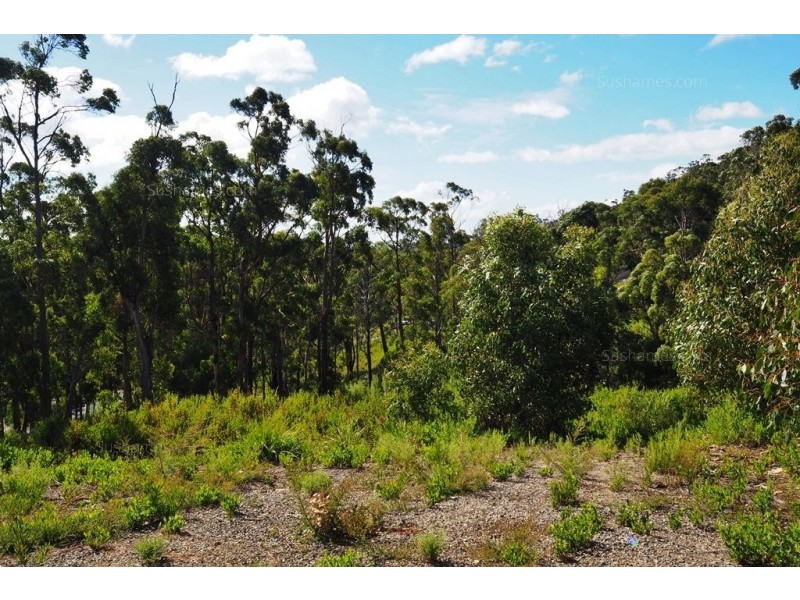 Lot 21 Forest Heights Drive, Tugrah TAS 7310