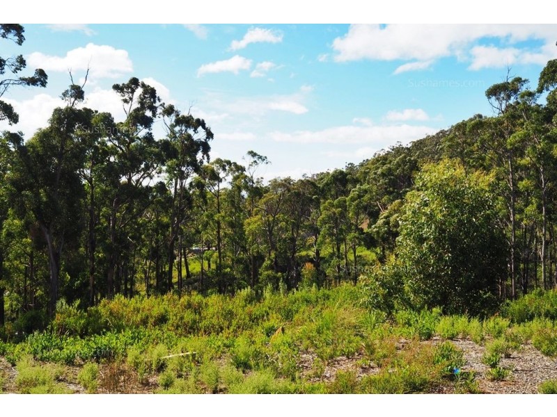 Lot 21 Forest Heights Drive, Tugrah TAS 7310
