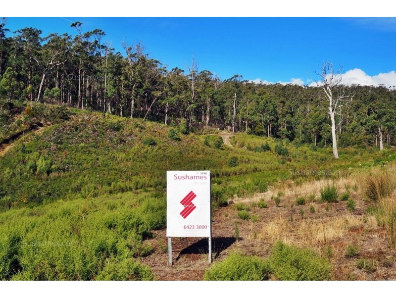 Lot 39 Forest Heights Drive, Tugrah TAS 7310