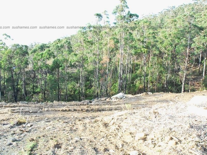 Lot 39 Forest Heights Drive, Tugrah TAS 7310