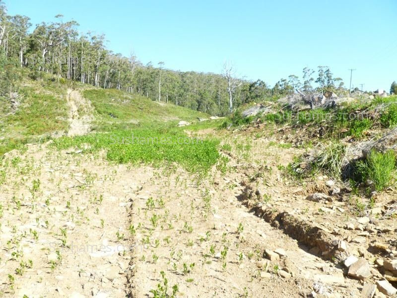 Lot 39 Forest Heights Drive, Tugrah TAS 7310