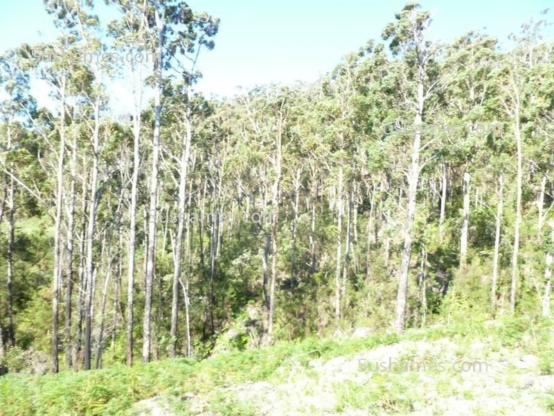 Lot 39 Forest Heights Drive, Tugrah TAS 7310