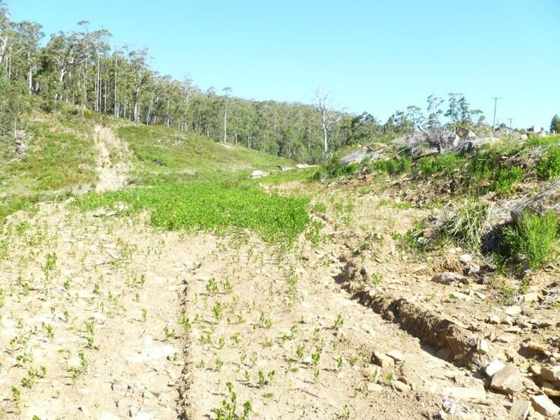 Lot 39 Forest Heights Drive, Tugrah TAS 7310