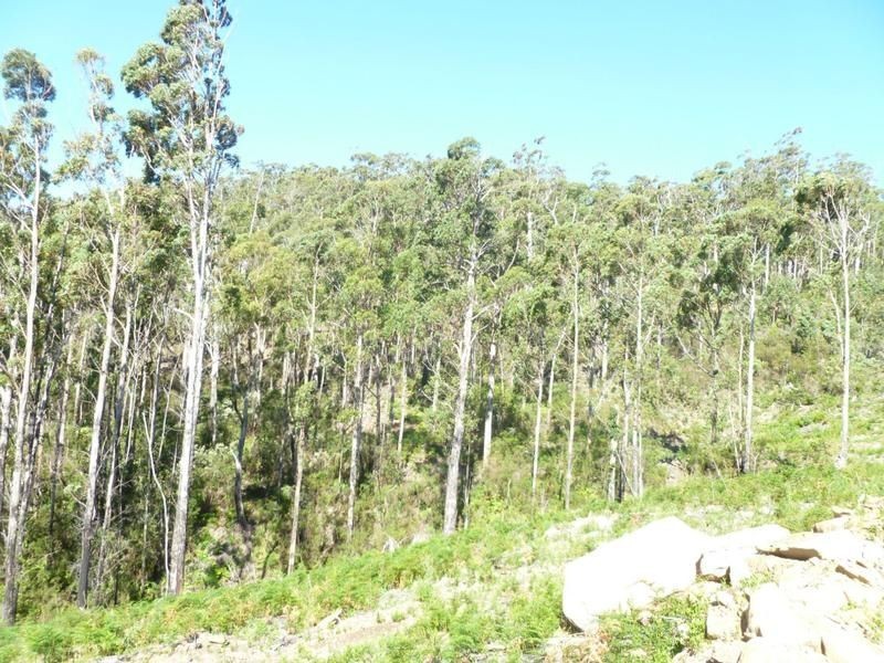 Lot 39 Forest Heights Drive, Tugrah TAS 7310