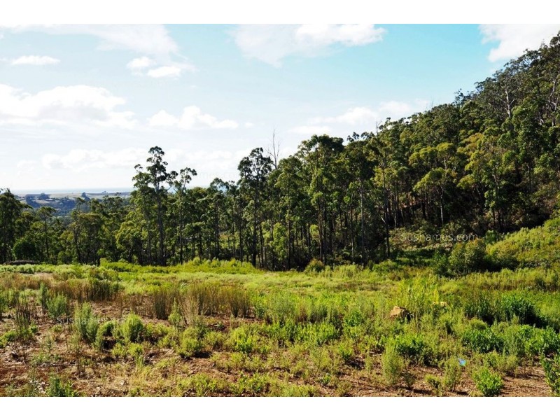 Lot 20 Forest Heights Drive, Tugrah TAS 7310