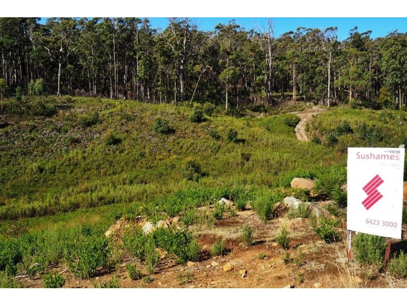 Lot 20 Forest Heights Drive, Tugrah TAS 7310