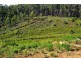 Lot 20 Forest Heights Drive, Tugrah TAS 7310