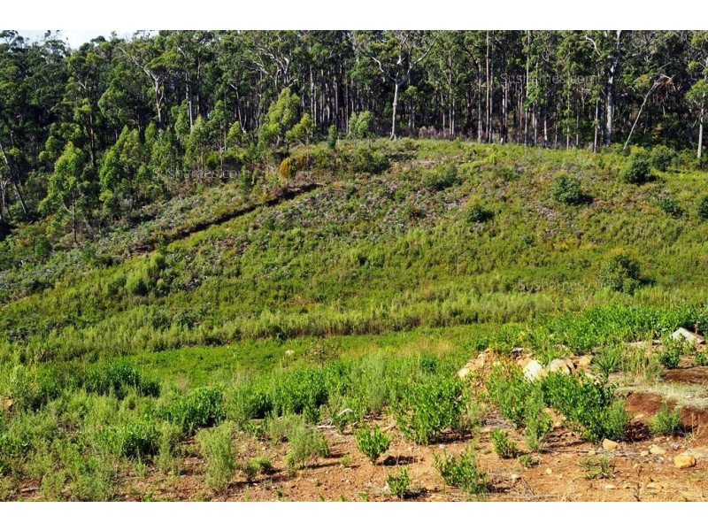 Lot 20 Forest Heights Drive, Tugrah TAS 7310